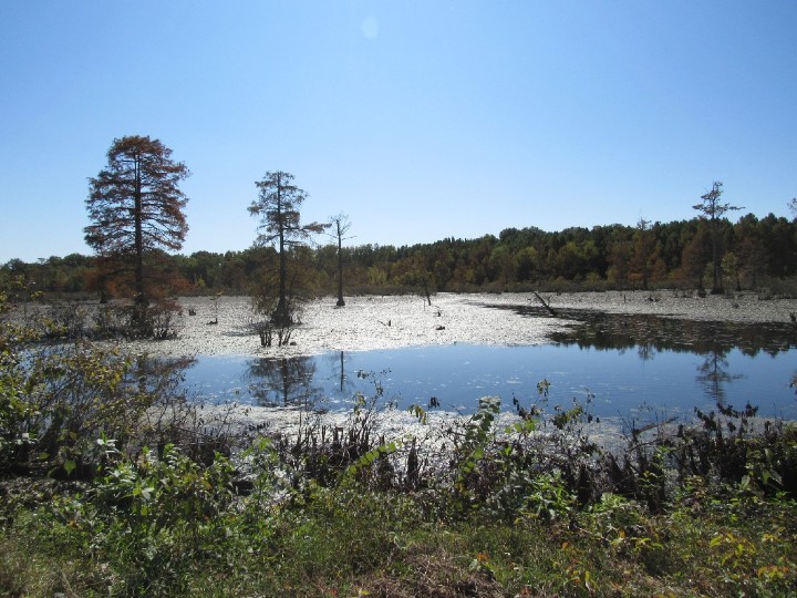 Mingo National Wildlife Refuge